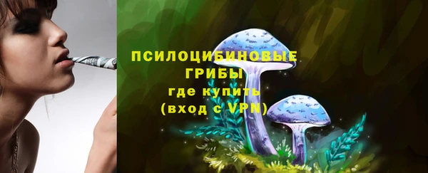 круглые Няндома