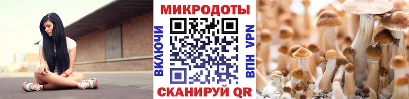 цены   Терек  Галлюциногенные грибы GOLDEN TEACHER 