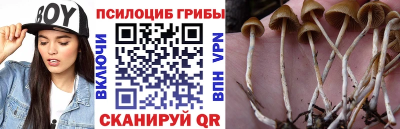 Галлюциногенные грибы мицелий Терек